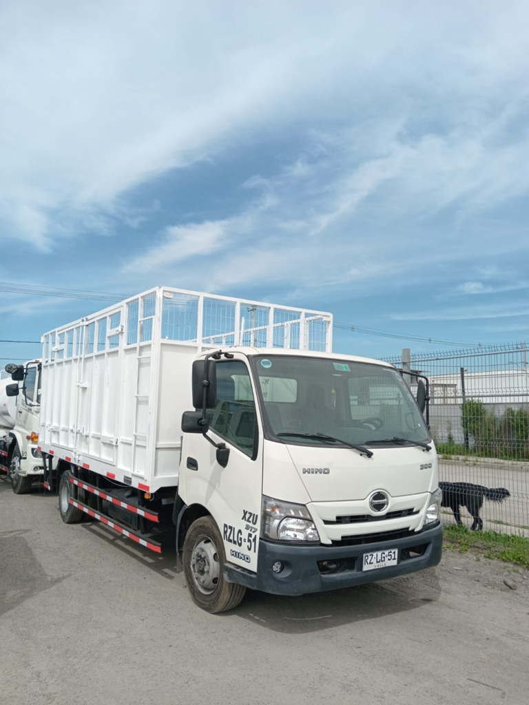 Camión Tolva Rammer Hino 2022 XZU 917 m3 4X2 Manual #Ref LG51 - Imagen 9