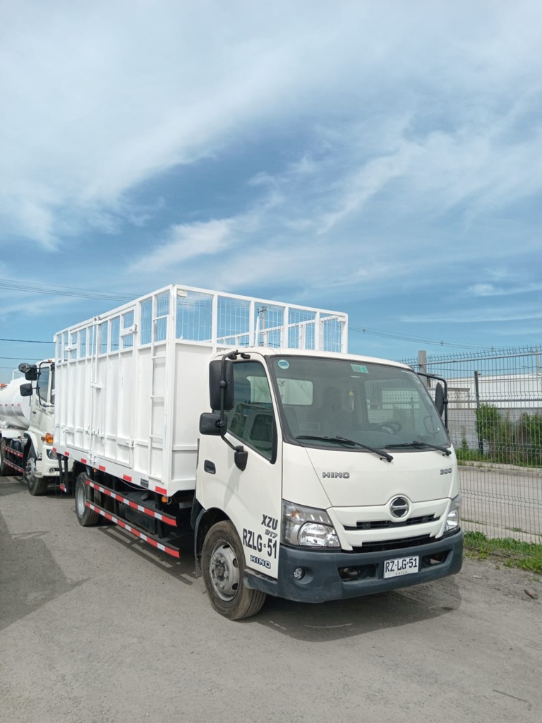 Camión Tolva Rammer Hino 2022 XZU 917 m3 4X2 Manual #Ref LG51 - Imagen 10