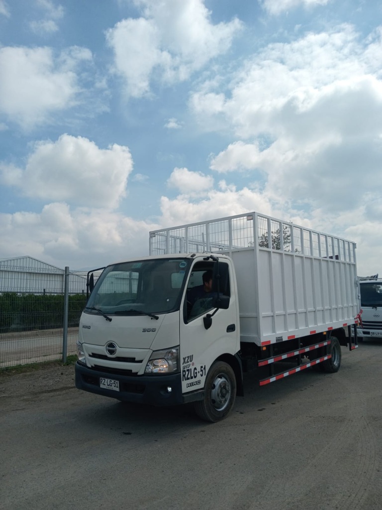 Camión Tolva Rammer Hino 2022 XZU 917 m3 4X2 Manual #Ref LG51 - Imagen 6